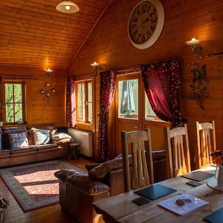 George Cabin - Log Cabin In Wales With Hot Tub 纽敦 外观 照片