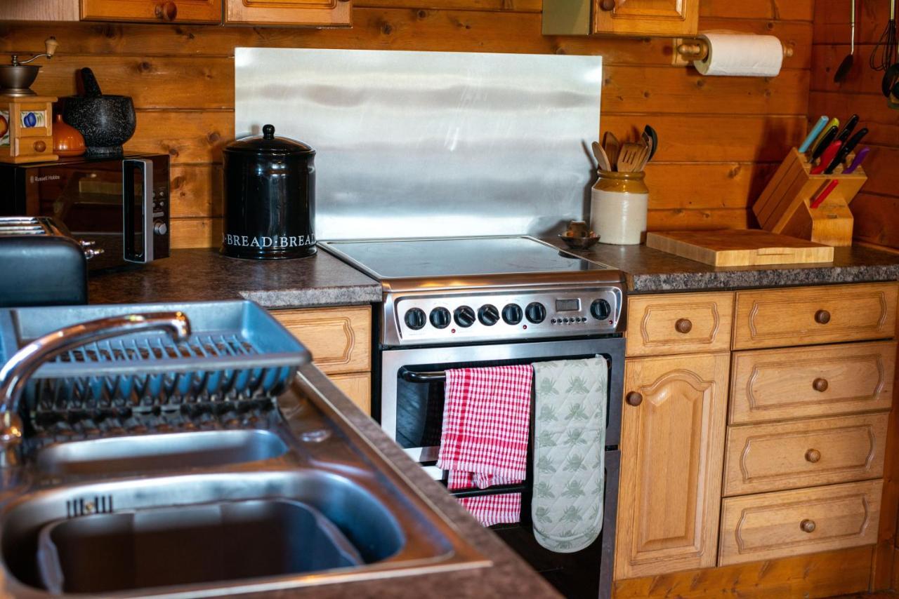 George Cabin - Log Cabin In Wales With Hot Tub 纽敦 外观 照片