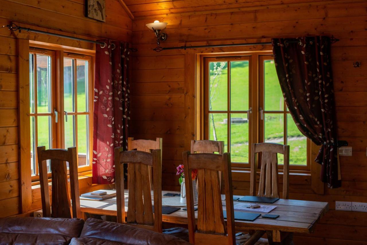 George Cabin - Log Cabin In Wales With Hot Tub 纽敦 外观 照片