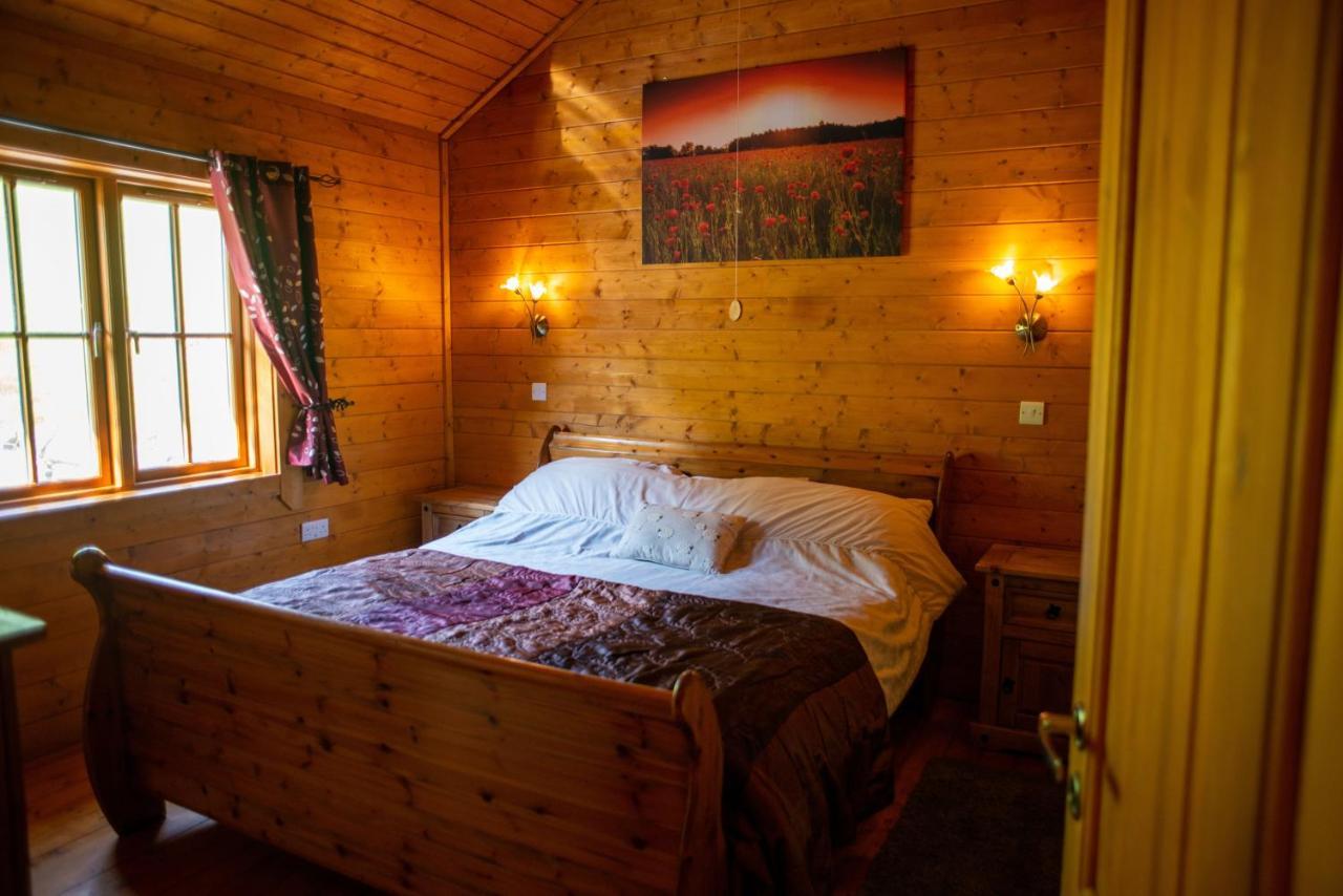 George Cabin - Log Cabin In Wales With Hot Tub 纽敦 外观 照片