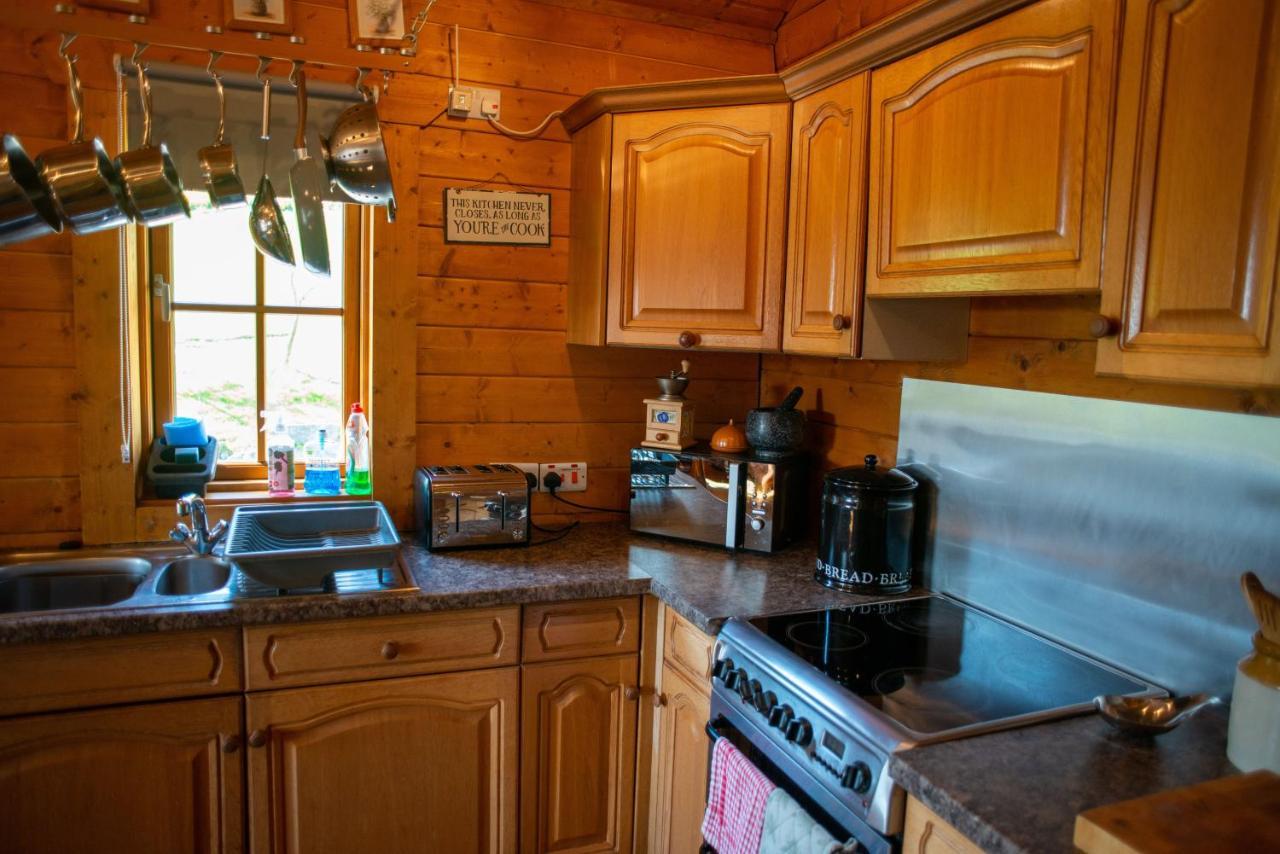 George Cabin - Log Cabin In Wales With Hot Tub 纽敦 外观 照片